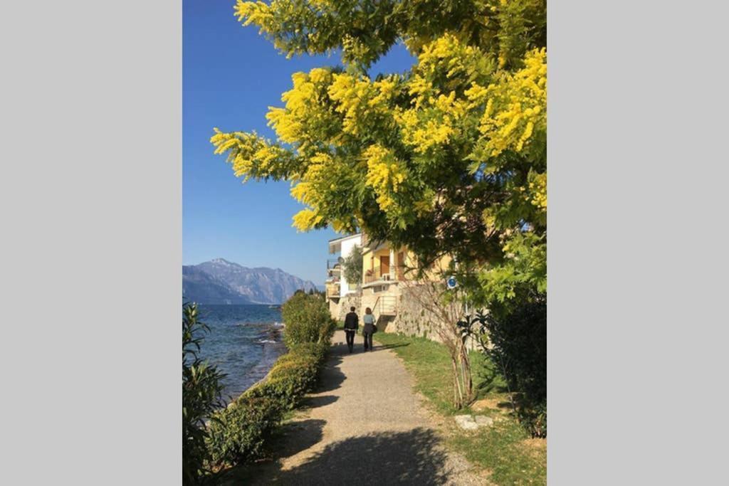 Villa Francesca-Grande Appartamento In Riva Al Lago Brenzone sul Garda Exterior foto